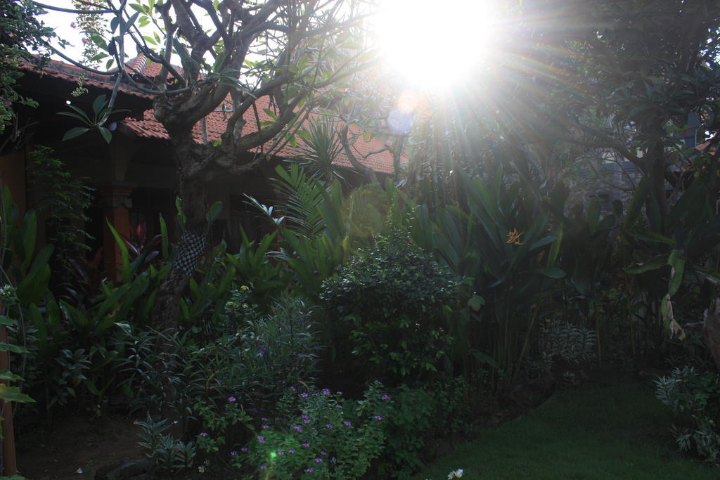 Cleopatra Beach Bungalows Hotel Lovina  Luaran gambar